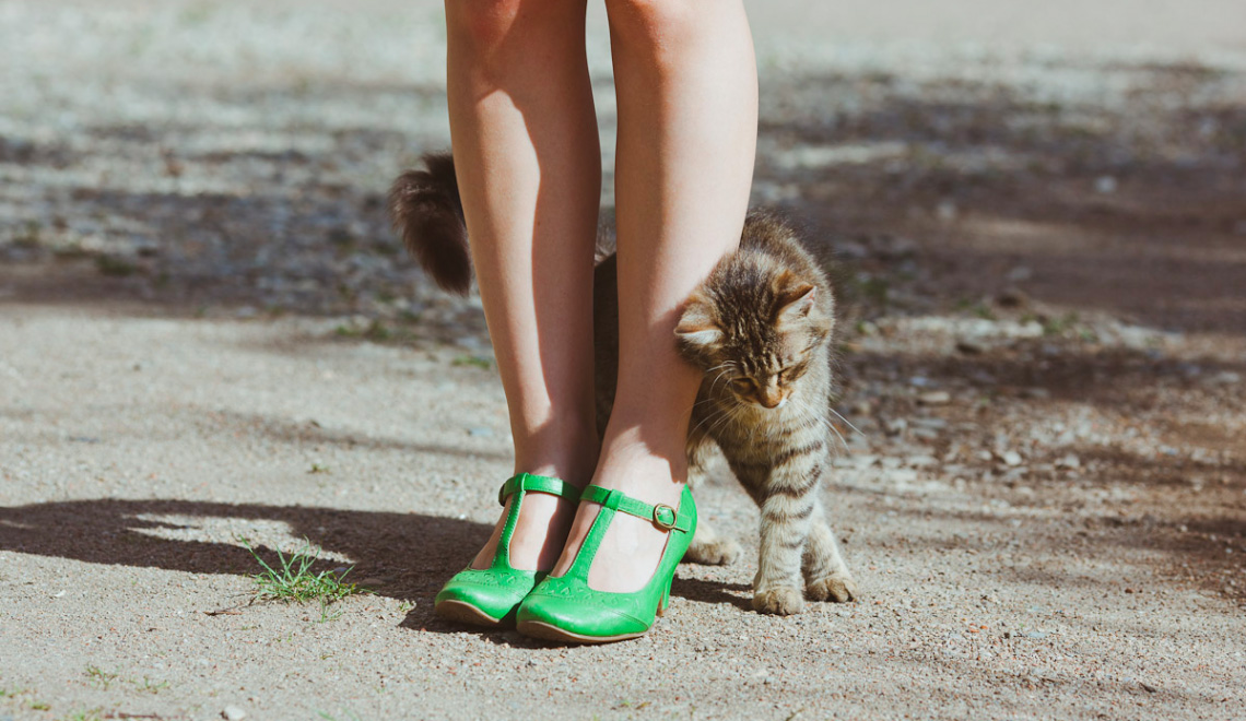 4 Ways my cats affect me psychologically 